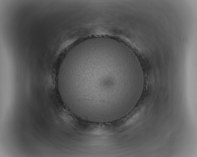 X0000115401207200911101505