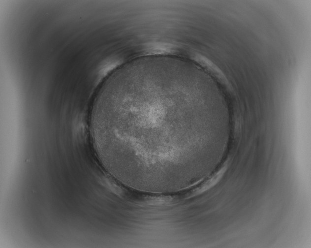 X0000115401210200911101505