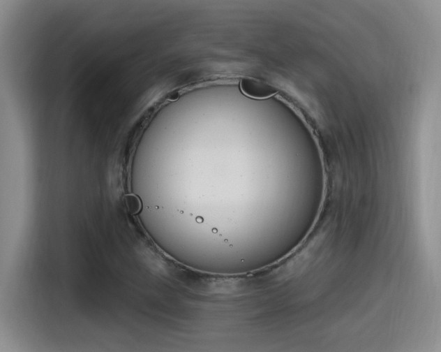 X0000115401211200911101505
