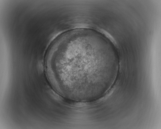 X0000115401212200911101505