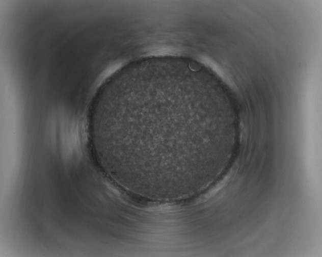 X0000115401213200911101505