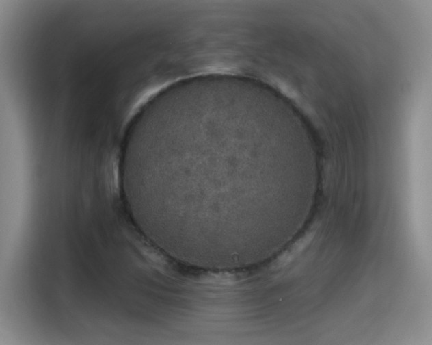 X0000115401214200911101505