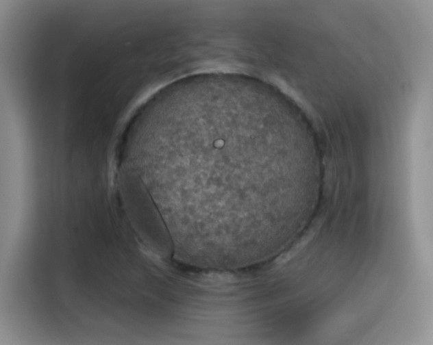 X0000115401215200911101505