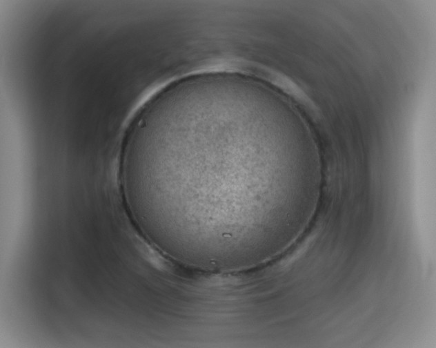 X0000115401216200911101505
