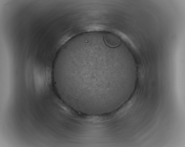 X0000115401217200911101505