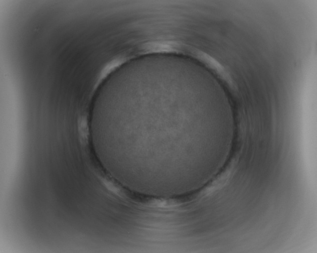 X0000115401218200911101505