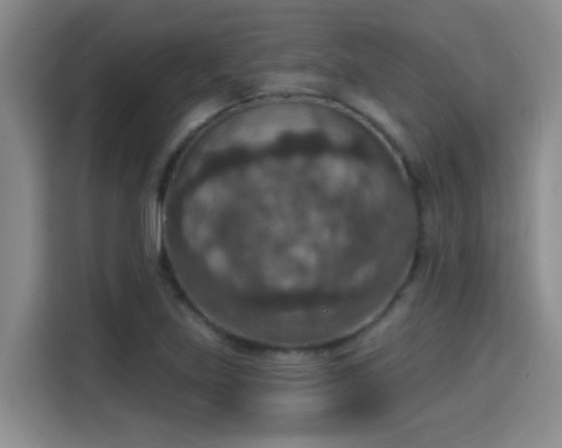 X0000115401219200911101505