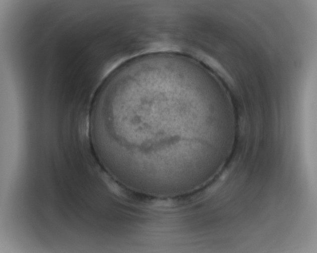 X0000115401220200911101505