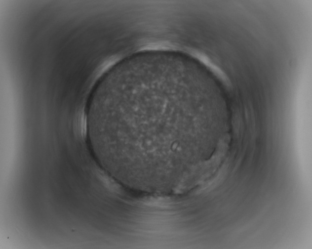 X0000115401221200911101505