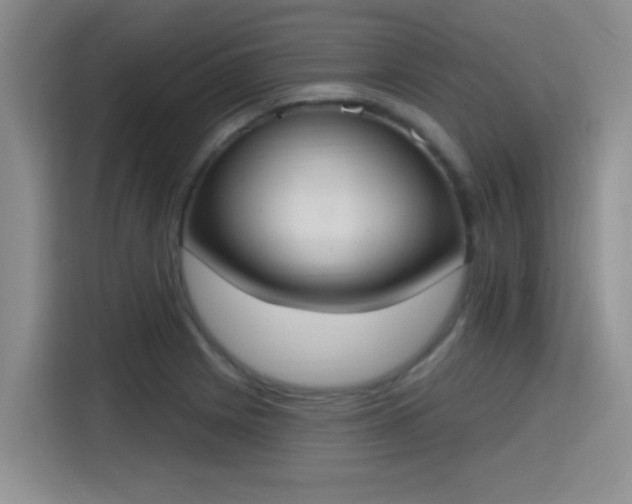 X0000115401225200911101505