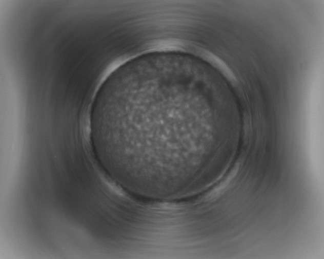 X0000115401226200911101506