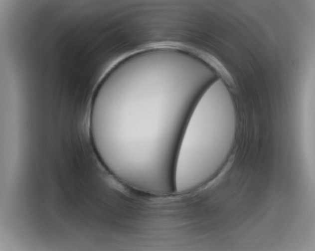 X0000115401228200911101506