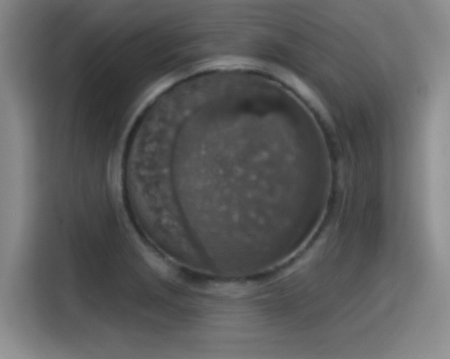 X0000115401229200911101506