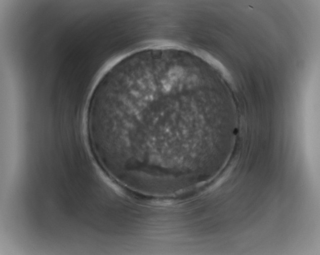 X0000115401231200911101506