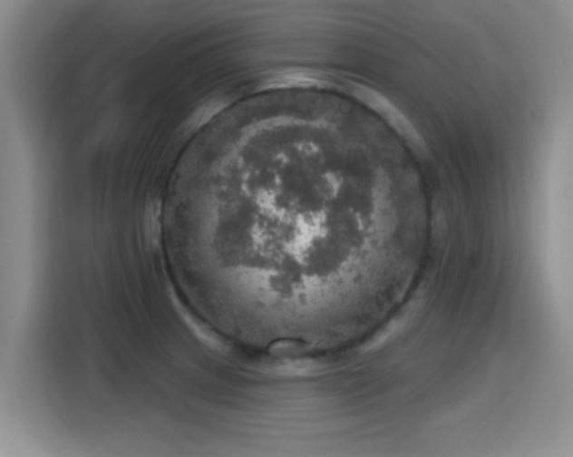X0000115401233200911101506
