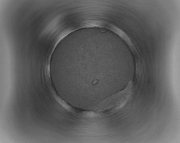 X0000115401234200911101506