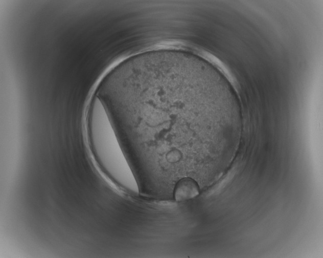 X0000115401235200911101506