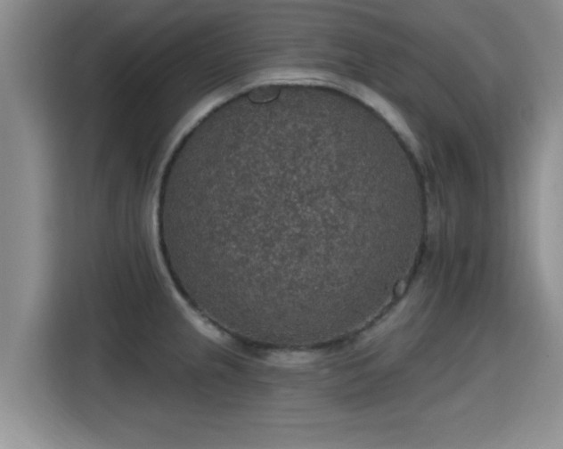 X0000115401237200911101506