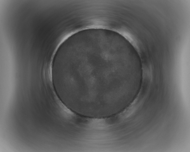 X0000115401238200911101506