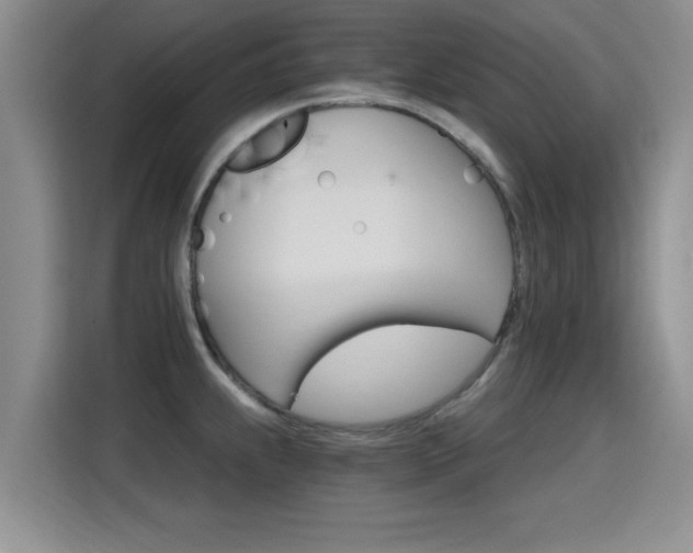 X0000115401239200911101506