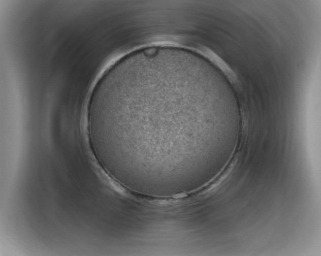 X0000115401240200911101506