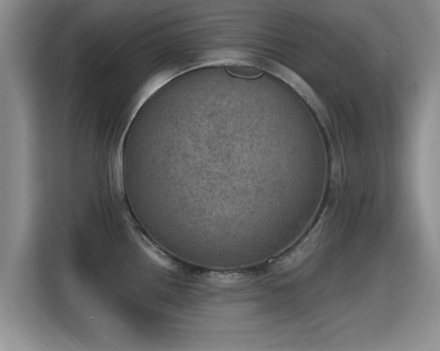X0000115401242200911101506