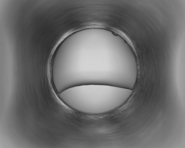 X0000115401243200911101506