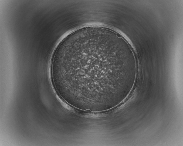 X0000115401245200911101506