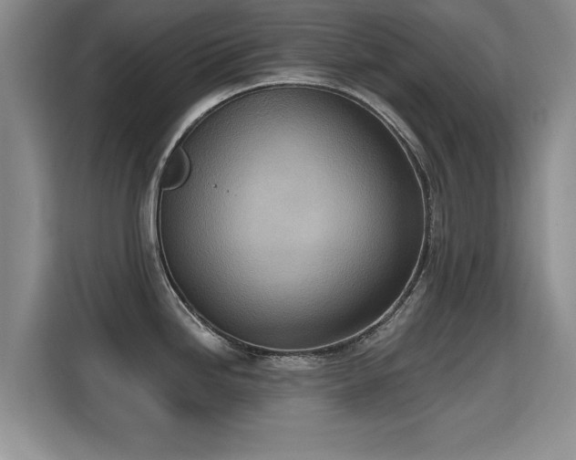 X0000115401246200911101506