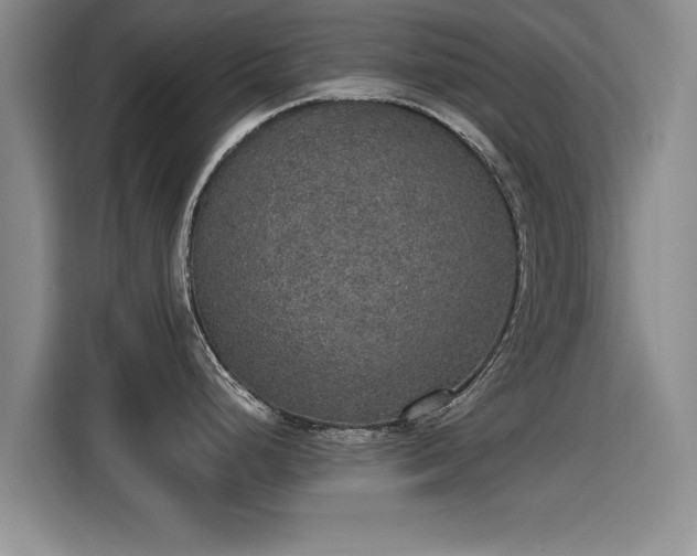 X0000115401248200911101506