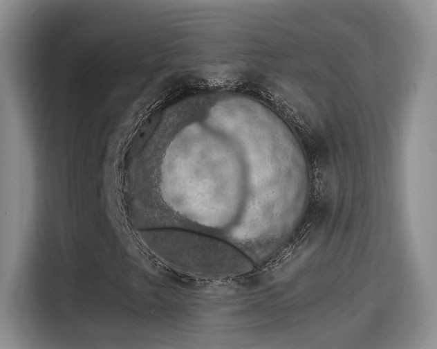 X0000115401249200911101505