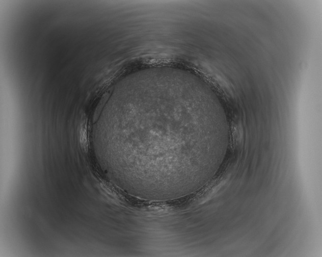 X0000115401250200911101505