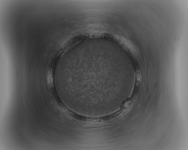 X0000115401252200911101505