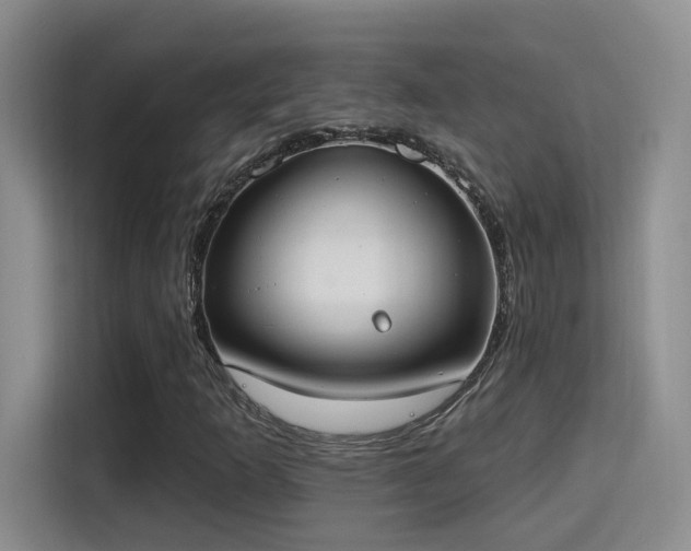 X0000115401253200911101505