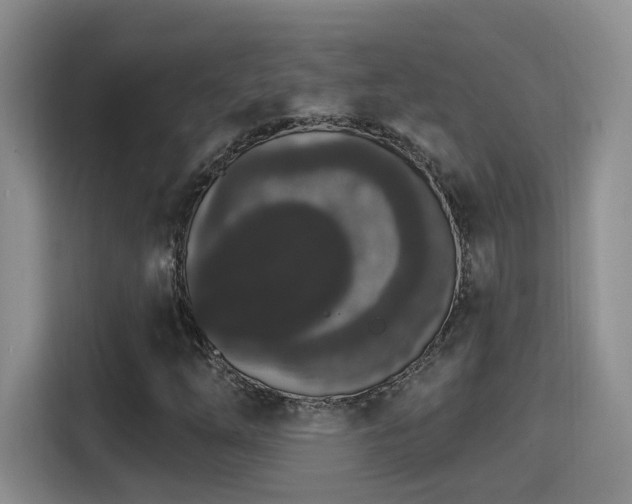 X0000115401254200911101505