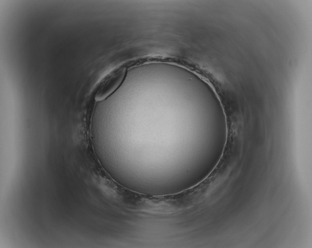 X0000115401256200911101505