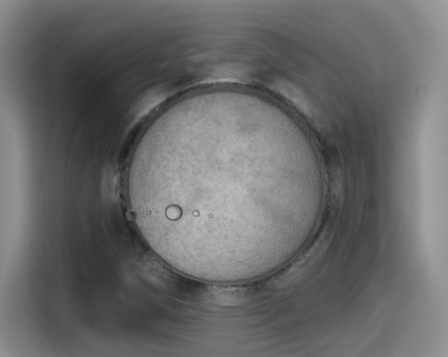 X0000115401258200911101505