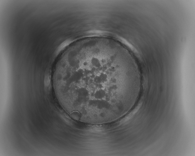 X0000115401259200911101505