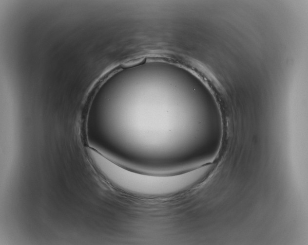 X0000115401260200911101505