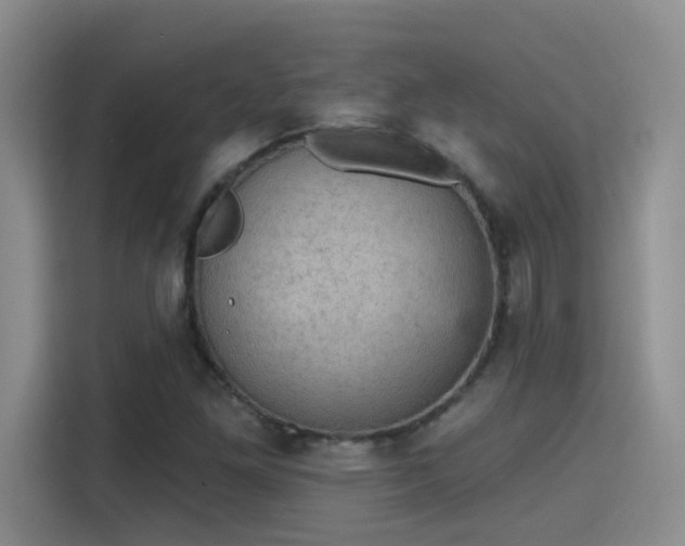 X0000115401261200911101505