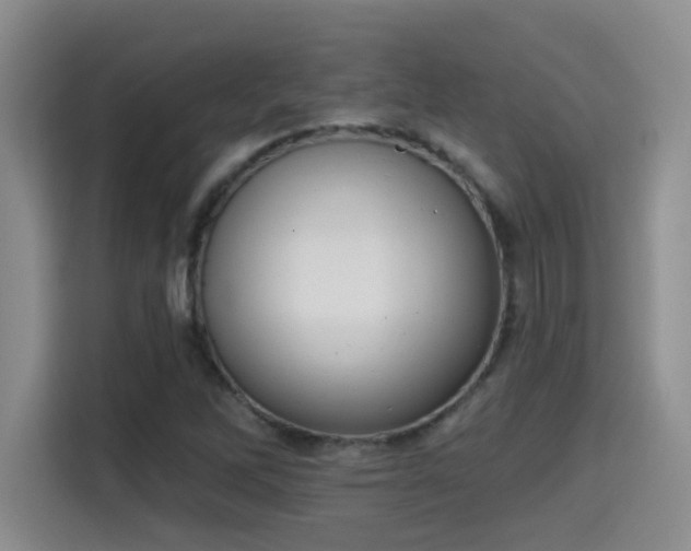 X0000115401262200911101505