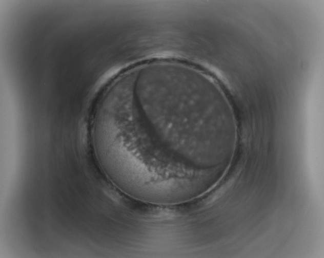 X0000115401263200911101505