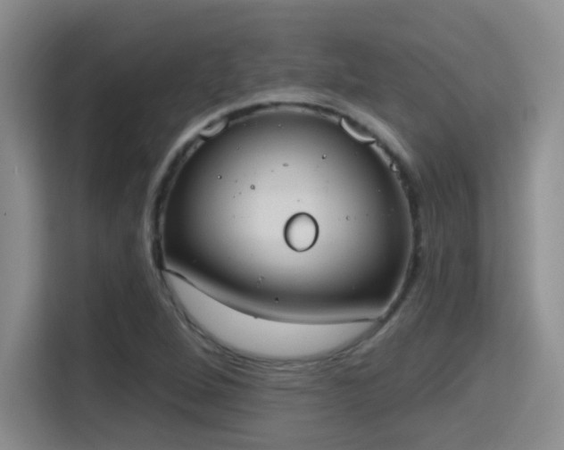 X0000115401264200911101505