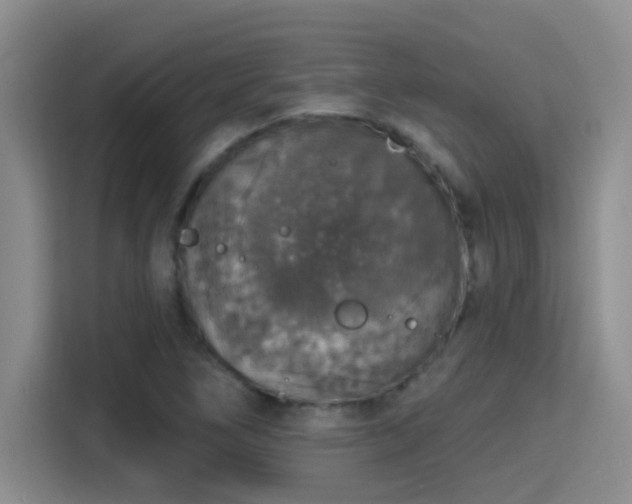 X0000115401266200911101505