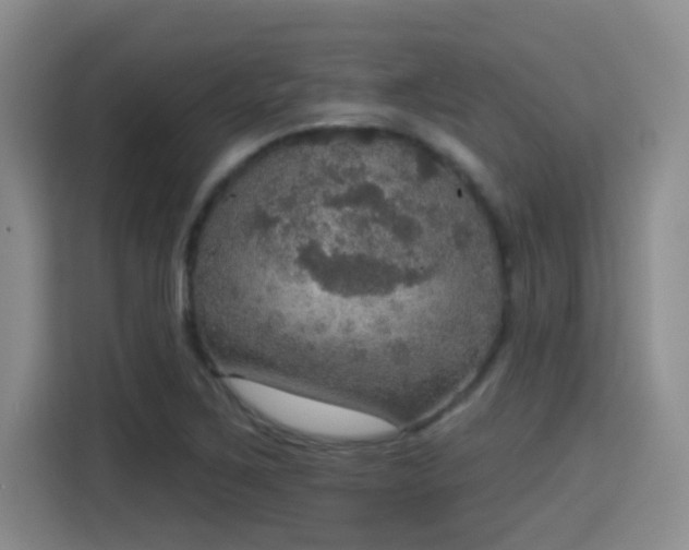 X0000115401267200911101505