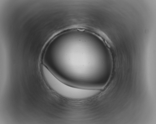 X0000115401268200911101505