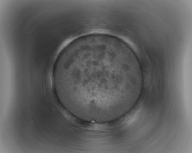 X0000115401271200911101505