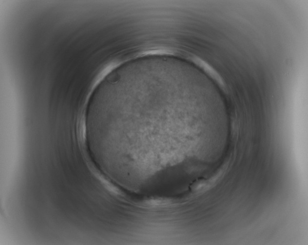 X0000115401274200911101505