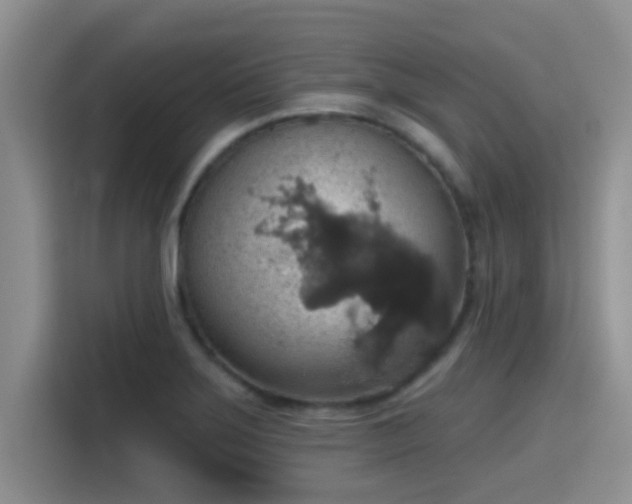 X0000115401275200911101505