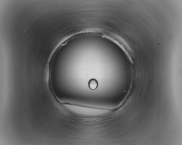 X0000115401276200911101505